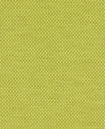 Swatch thumbnail for Palm